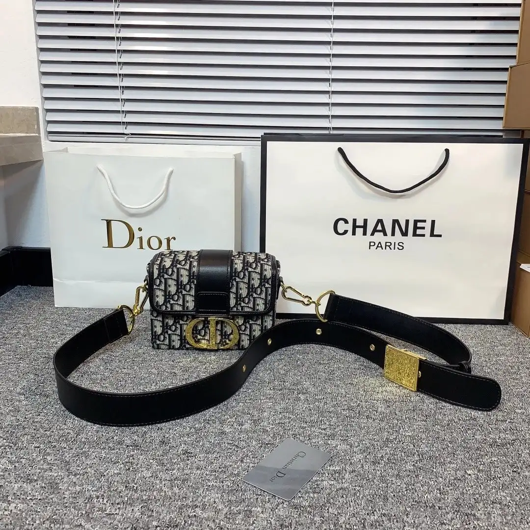Dior Chain Bag [15 styles]
